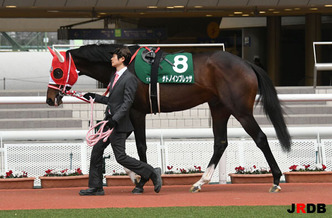 200328-11¥µ¥È¥Î¥¤¥ó¥×¥ì¥Ã¥µ