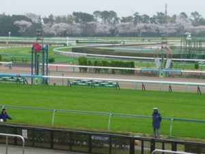 中山ゴール前