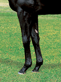 ����ǡ��������-��