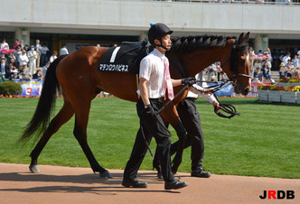 150425-10�ޥƥ�����ϥԥͥ�