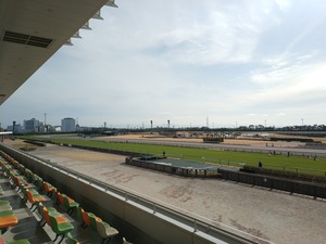 ����������ʡ�