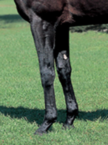 ¥À¥ó¥¹¥¤¥ó¥¶¥À¡¼¥¯-µÓ