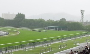 5/29京都4角