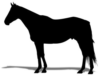 ¥Þ¡¼¥Ù¥é¥¹¥µ¥ó¥Ç¡¼-¥·¥ë¥¨¥Ã¥È