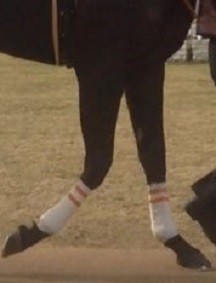 170219-9¥Õ¥¡¥ó¥Ç¥£¡¼¥ÊµÓ
