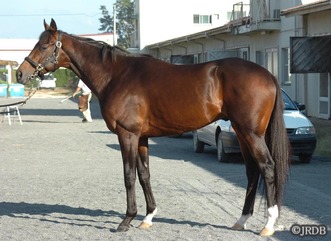 ¥Ç¥£¡¼¥×¥¤¥ó¥Ñ¥¯¥È