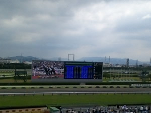 WIN_20160626_09_49_31_Pro