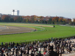 11/28東京1角