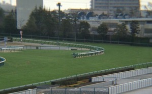 阪神