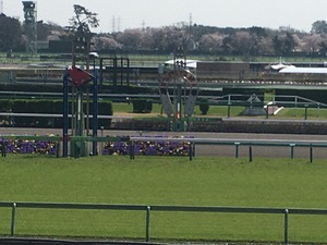 Ãæ»³¥´¡¼¥ëÁ°