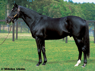 ����ǡ��������