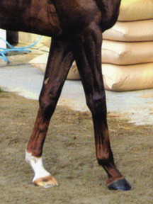 ����饤���ڥ�����-��