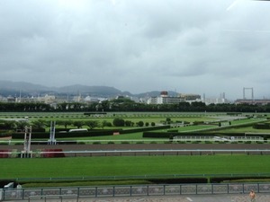 Hanshin3