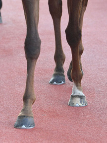 200315-11¥¨¡¼¥Ý¥¹µÓ