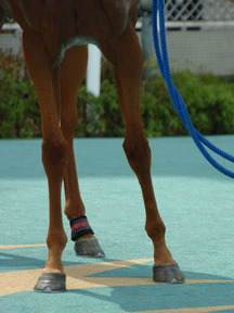 ���祦�兩����-��