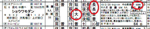 安田記念コラム27