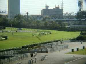 阪神