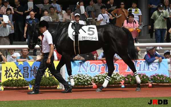 血統 馬体講座 クラヴァシュドール 競馬を100倍楽しむ方法 Jrdb ブログ