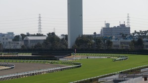 ����������ʡ�