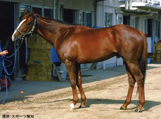 ¥À¥¤¥ï¥á¥¸¥ã¡¼