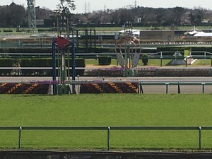 Ãæ»³¥´¡¼¥ë