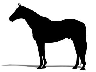 ���ޥ�������������-���륨�å�