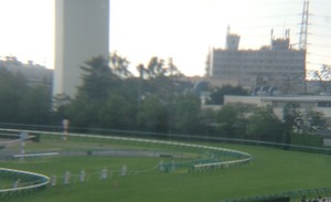 阪神6/29