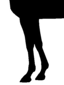 �������󥰥��������-��