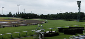 IMG20190817090959