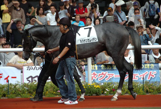 �������󥫥।�ǥ�-������ѥɥå�