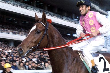 三大イケメン名馬 トウカイテイオー テンポイントあと1頭は 日本馬限定 競馬必勝ch 三大イケメン名馬 トウカイテイオー テンポイントあと1頭は 日本馬限定 競馬必勝ch
