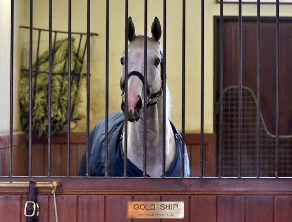 三大イケメン名馬 トウカイテイオー テンポイントあと1頭は 日本馬限定 競馬必勝ch 三大イケメン名馬 トウカイテイオー テンポイントあと1頭は 日本馬限定 競馬必勝ch