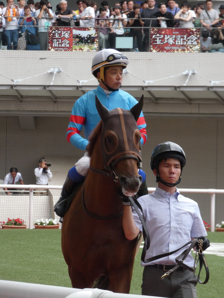 6 23 阪神10r 花のみちs 競馬写真館 By鳳凰