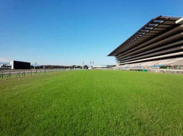 競馬講座 5000字のシュシュとお馬さんのおはなし ミ リアルダビスタ