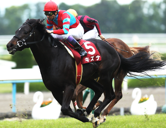 馬の毛色について 5000字のシュシュとお馬さんのおはなし ミ リアルダビスタ