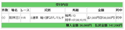 日阪神11レース