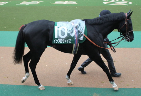inp