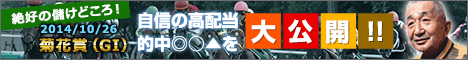 チャンピオンズカップ予想【2014年】｜中京競馬場ダート１８００ｍが合う馬