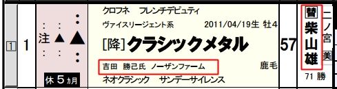 12月26日中山8Rクラシックメタル(馬柱)