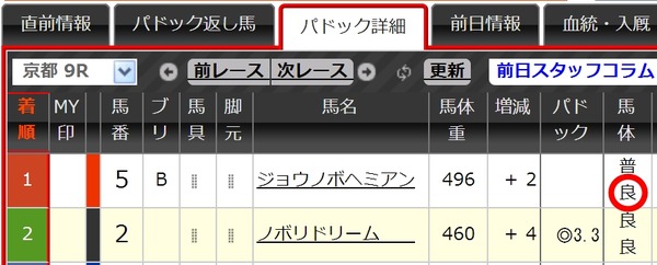 日曜京都9Rジョウノボヘミアンパドック