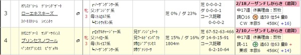 NFしがらき帰りの2頭
