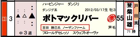 12月26日中山12Rポトマックリバー(馬柱)