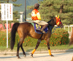 ライブコンサート後