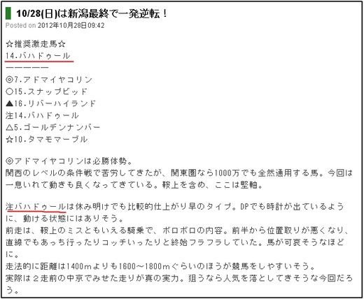 最終_1028日新潟12_1