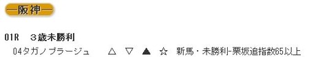 データ0225阪神１R的中