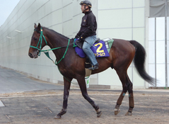 ヴィクトワールピサ後