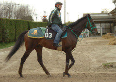 ヴィクトワールピサ後