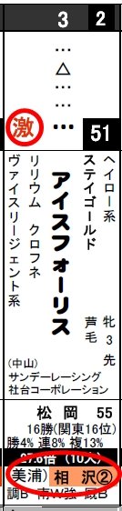 激走_0520東京11Rアイスフォーリス