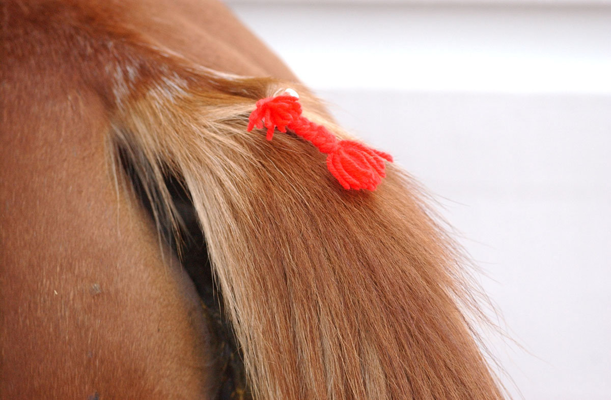 馬券の勝ち組 になるには 赤木流馬券術 尻尾の赤いリボン 新感覚の競馬新聞 競馬予想 競馬チェック のブログ