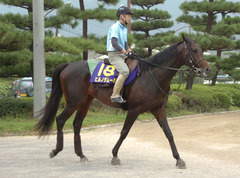 ヒルノダムール後